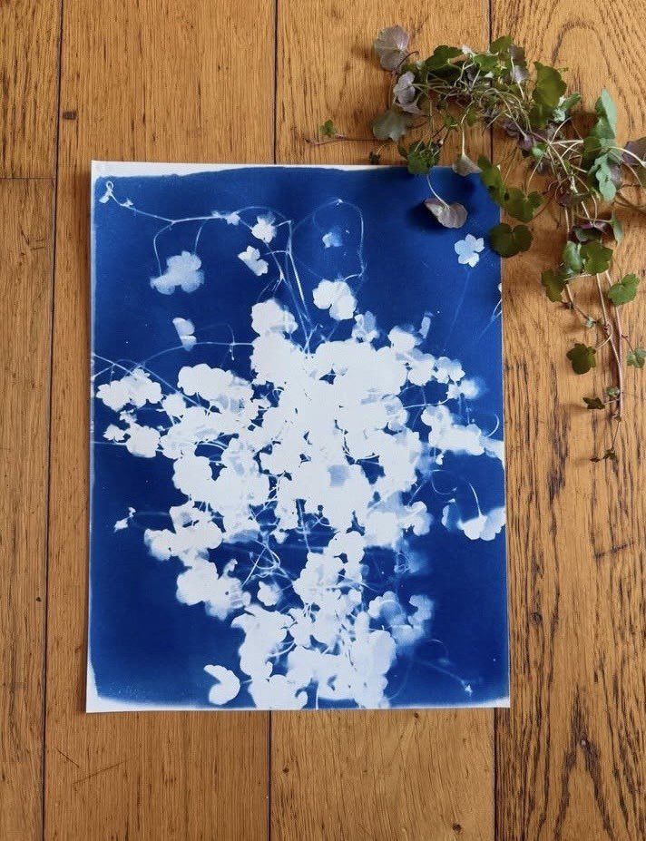 Cyanotype