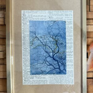 Cyanotype – Image 2