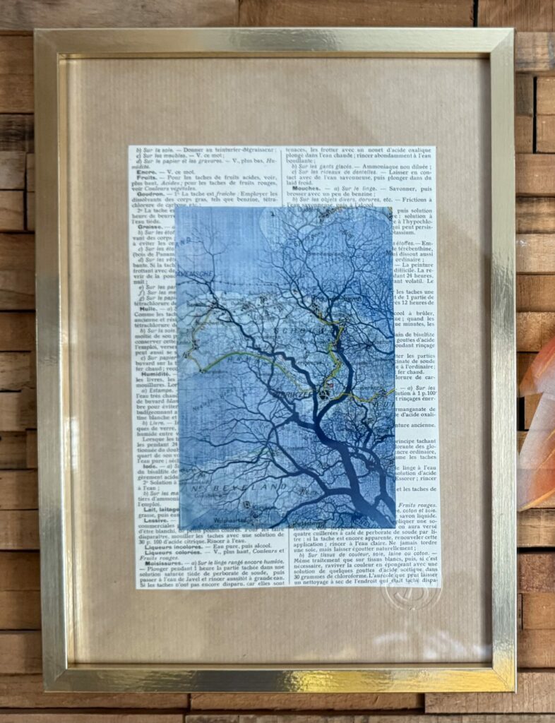 Cyanotype