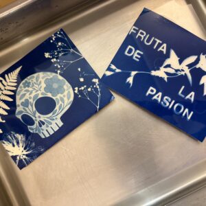 Cyanotype – Image 6