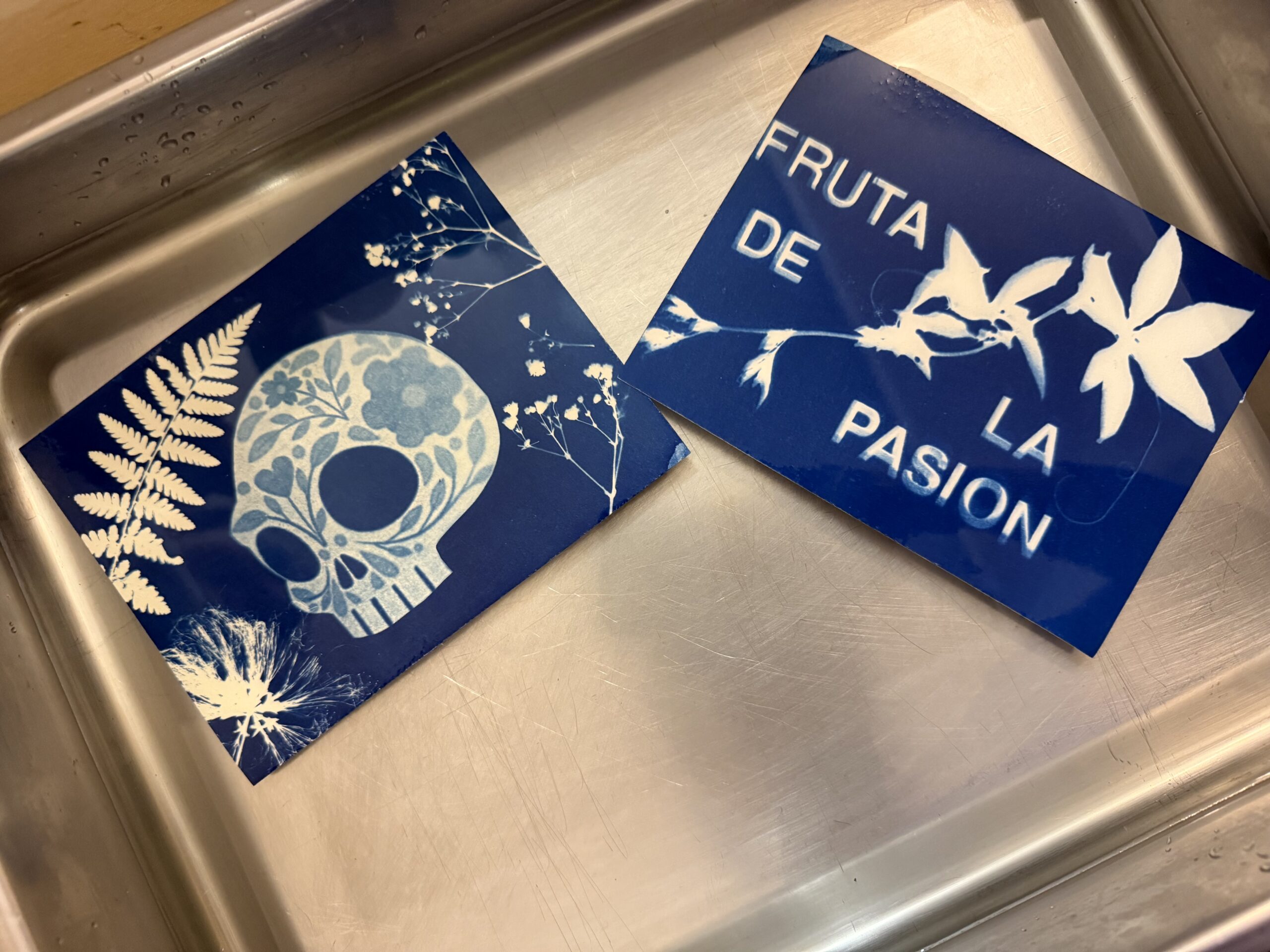 Cyanotype – Image 6