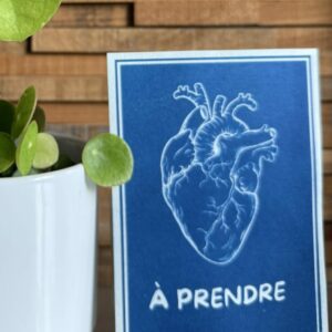 Cyanotype – Image 7