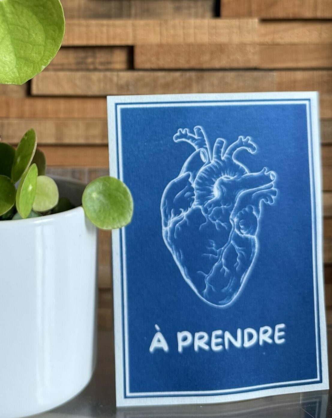 Cyanotype – Image 7
