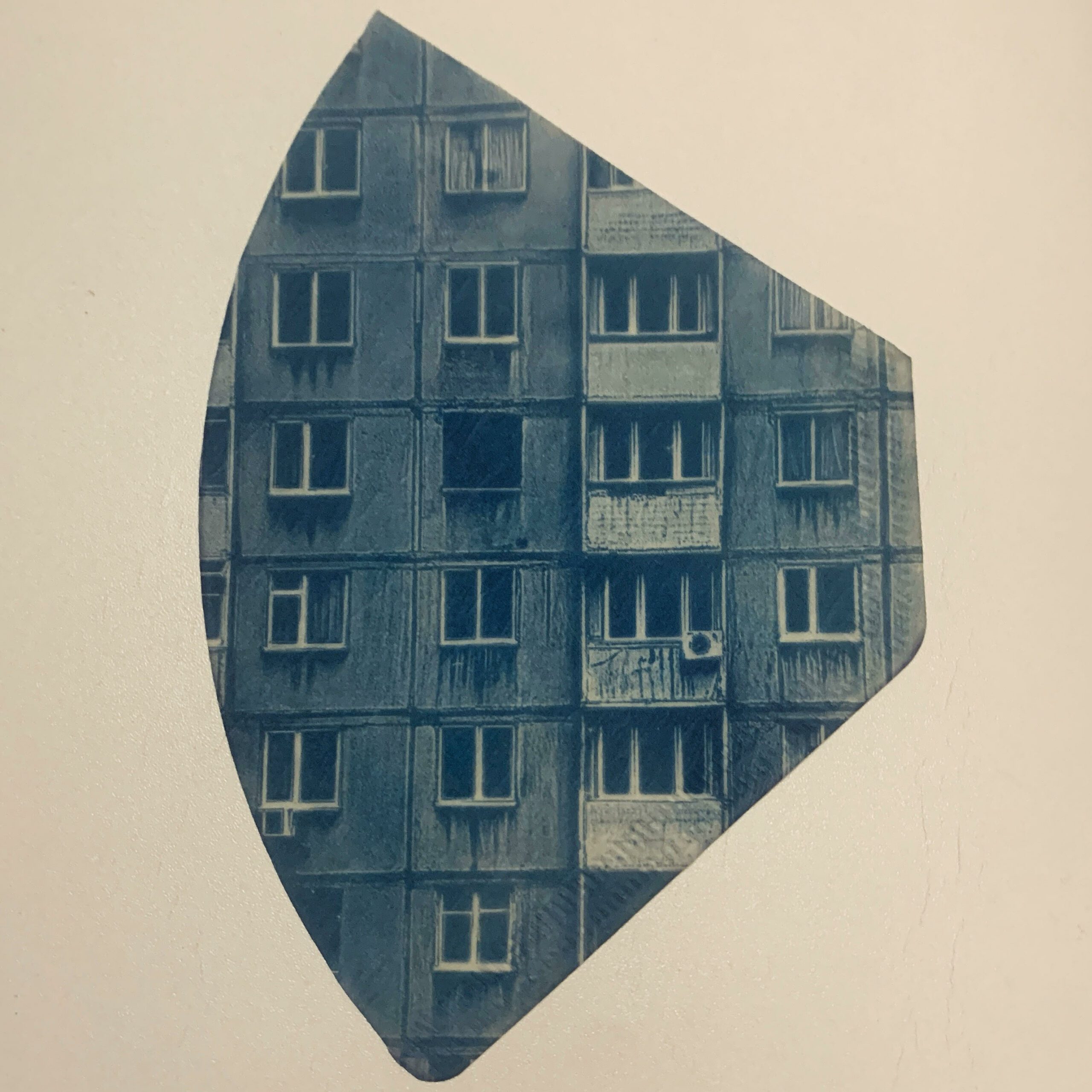 Cyanotype – Image 4
